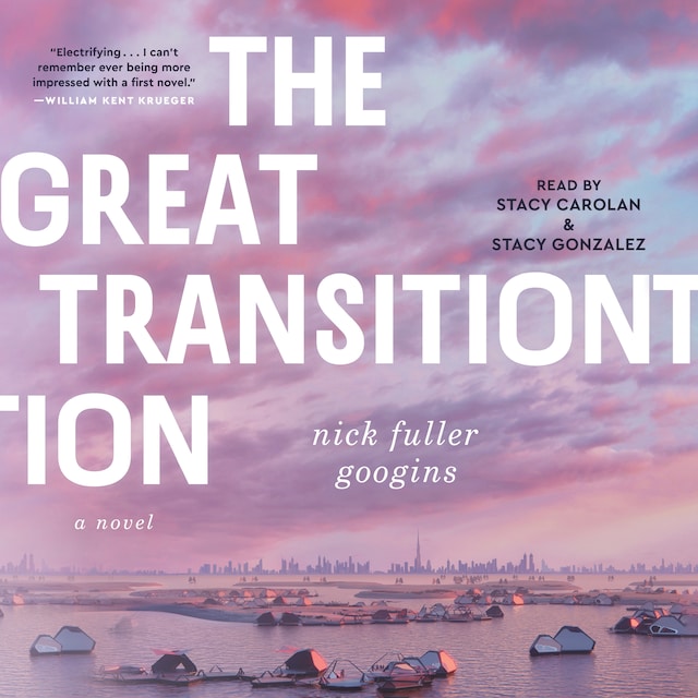 Book cover for The Great Transition