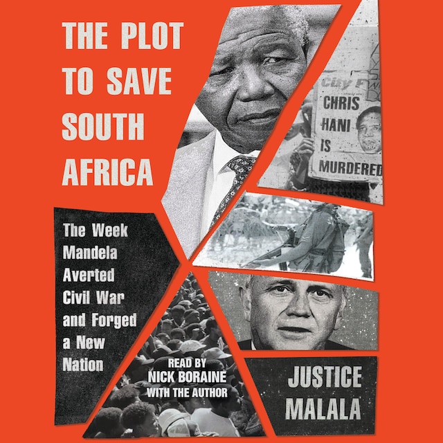 Book cover for The Plot to Save South Africa