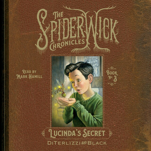 Book cover for Lucinda's Secret