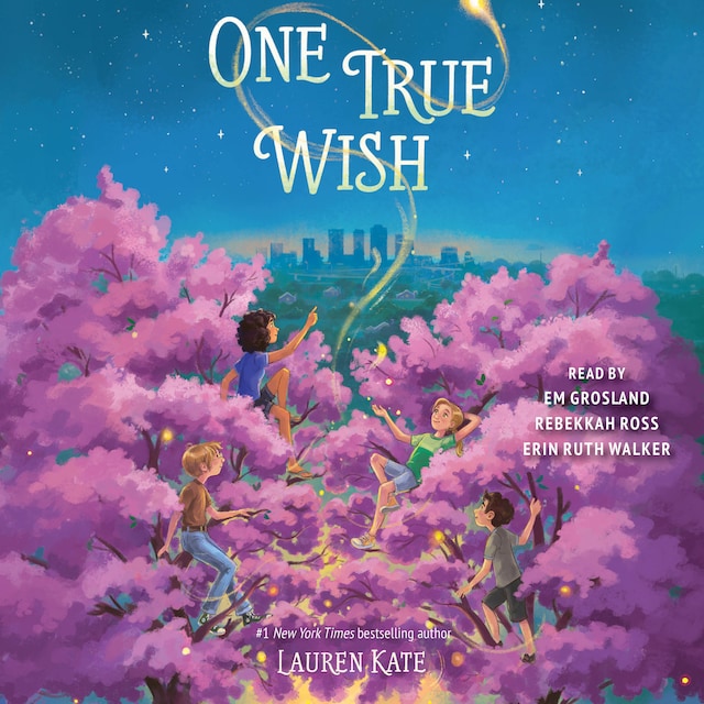 Book cover for One True Wish