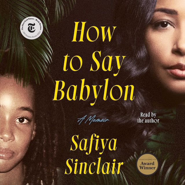 Boekomslag van How to Say Babylon