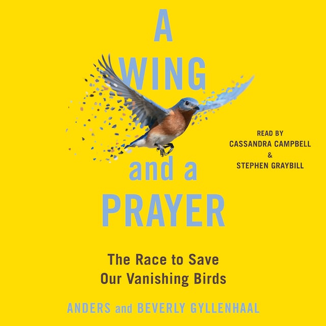 Kirjankansi teokselle A Wing and a Prayer