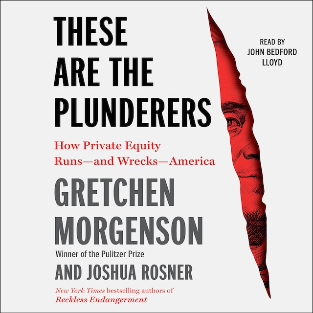Book cover for These are the Plunderers