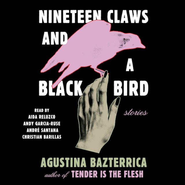 Nineteen Claws and a Black Bird Book cover for Nineteen Claws and a Black Bird