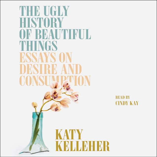 Kirjankansi teokselle The Ugly History of Beautiful Things