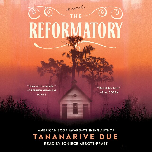 Book cover for The Reformatory