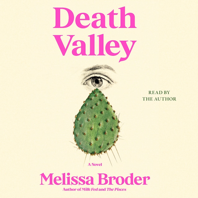Book cover for Death Valley