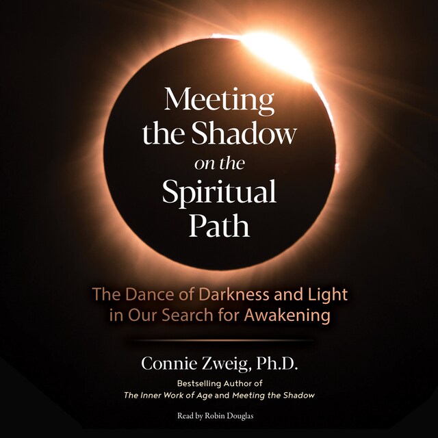 Book cover for Meeting the Shadow on the Spiritual Path