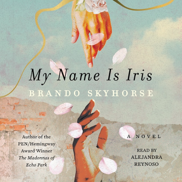 Book cover for My Name Is Iris