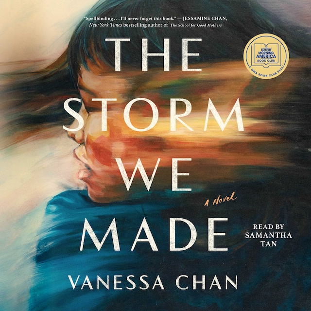 Book cover for The Storm We Made