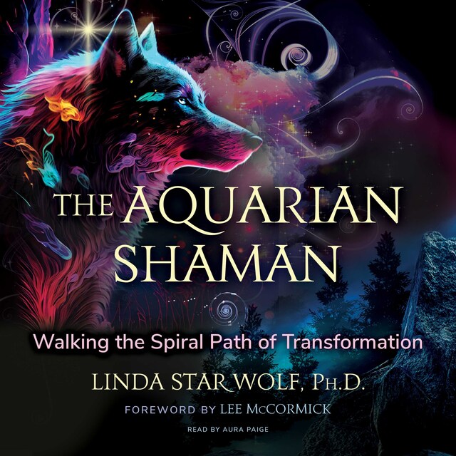 Book cover for The Aquarian Shaman