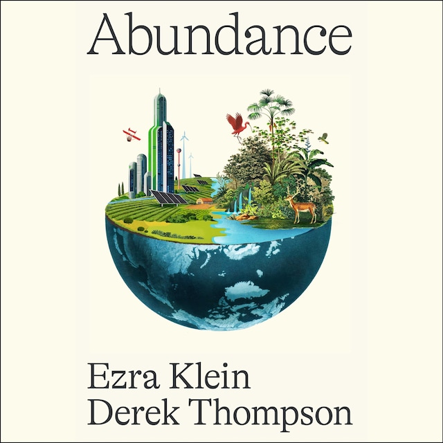 Book cover for Abundance