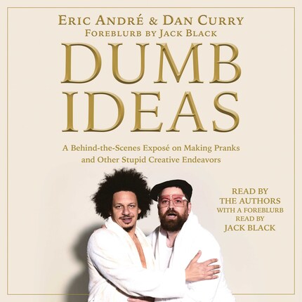 Dumb Ideas bookCoverFor