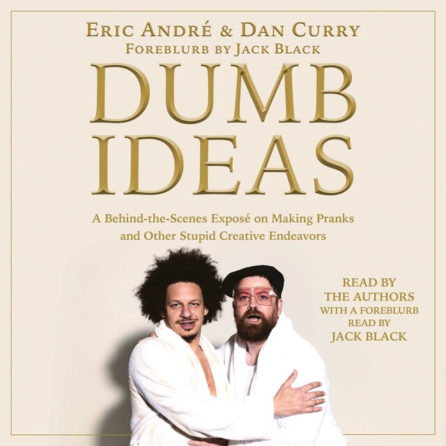 Book cover for Dumb Ideas