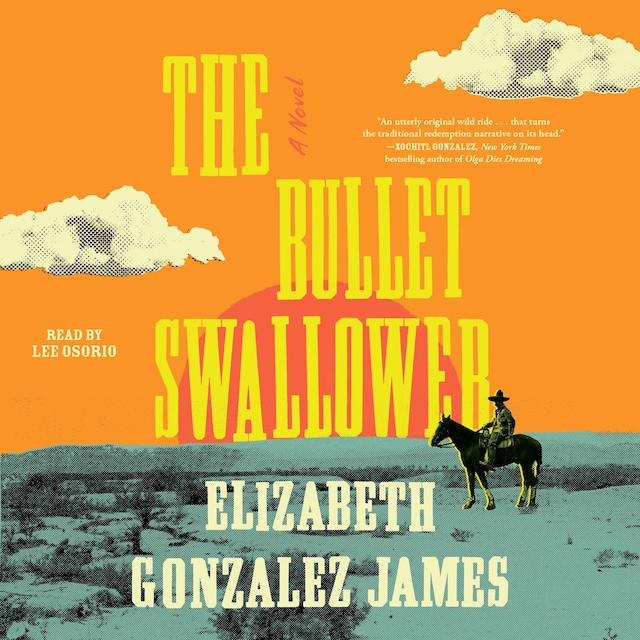 Book cover for The Bullet Swallower