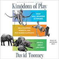 Kingdom of Play