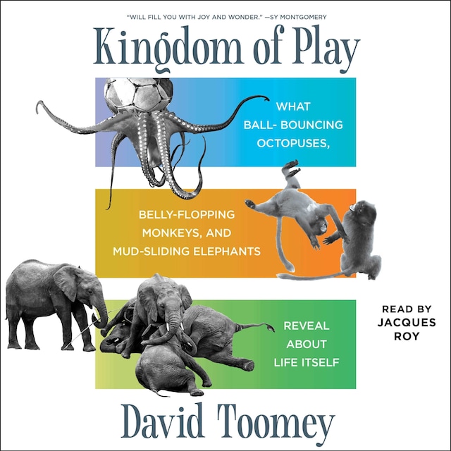 Kirjankansi teokselle Kingdom of Play