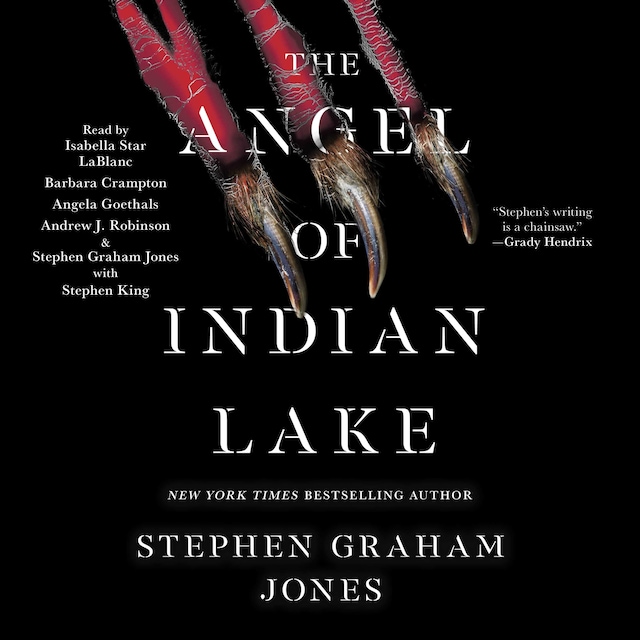 Bogomslag for The Angel of Indian Lake