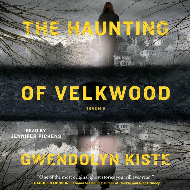 Book cover for The Haunting of Velkwood