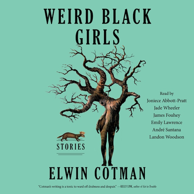 Book cover for Weird Black Girls