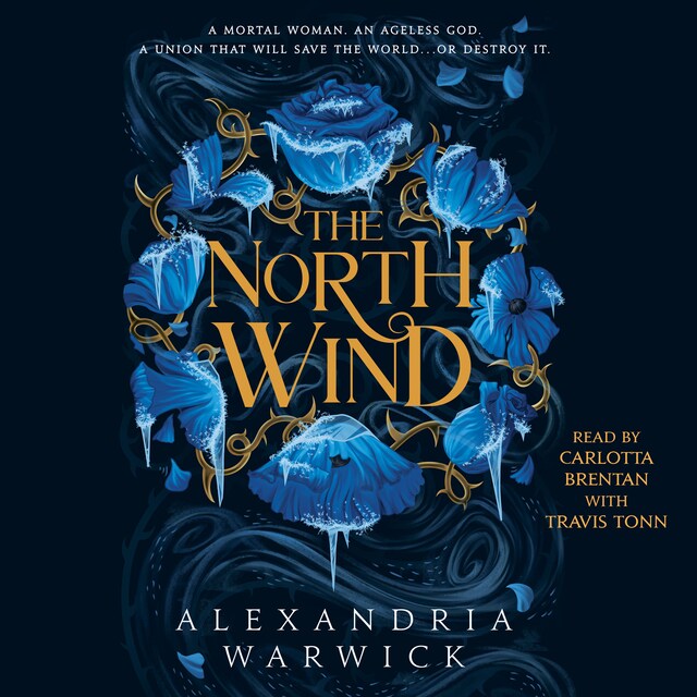 Book cover for The North Wind