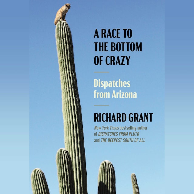 Book cover for A Race to the Bottom of Crazy