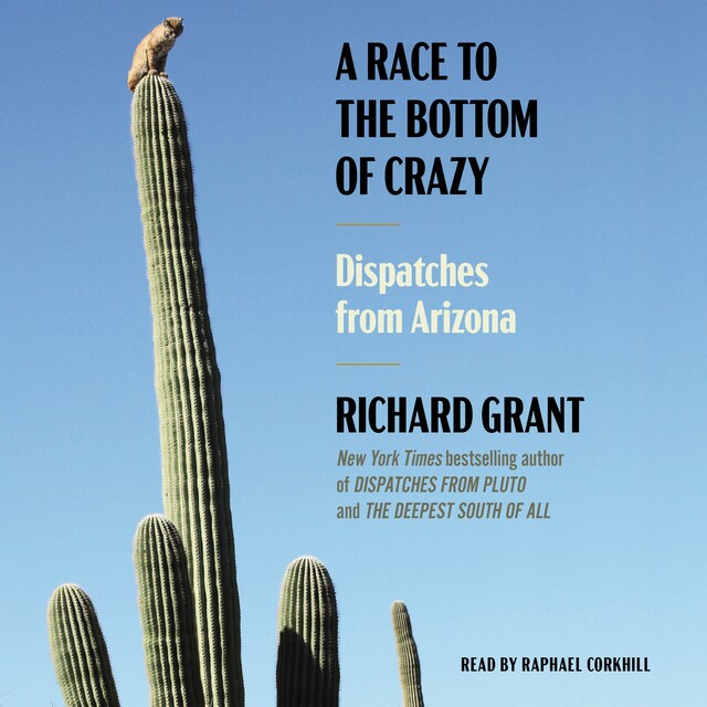 Portada de libro para A Race to the Bottom of Crazy