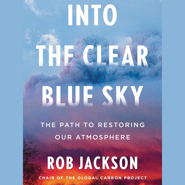 Book cover for Into the Clear Blue Sky