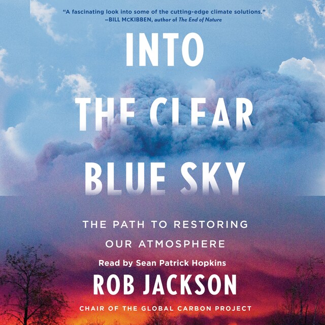 Portada de libro para Into the Clear Blue Sky