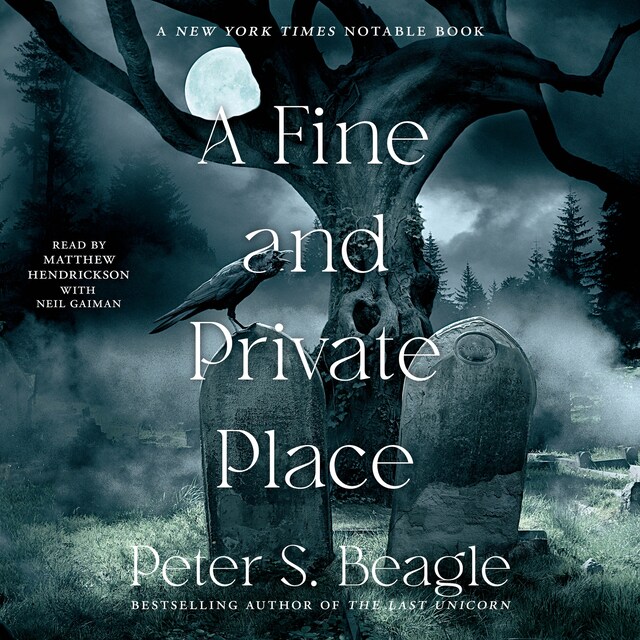 Couverture de livre pour A Fine and Private Place