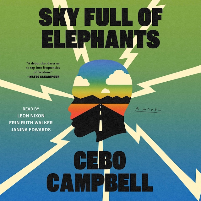 Book cover for Sky Full of Elephants