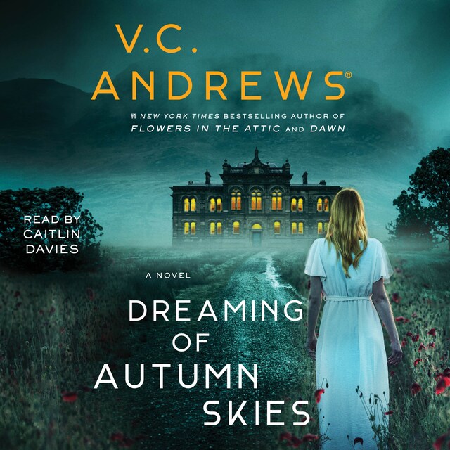 Book cover for Dreaming of Autumn Skies