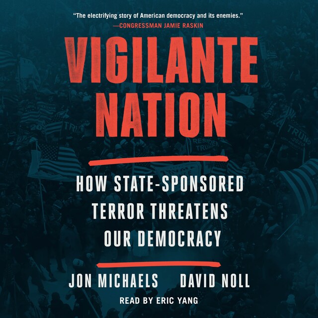 Book cover for Vigilante Nation