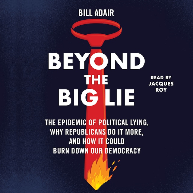 Book cover for Beyond the Big Lie