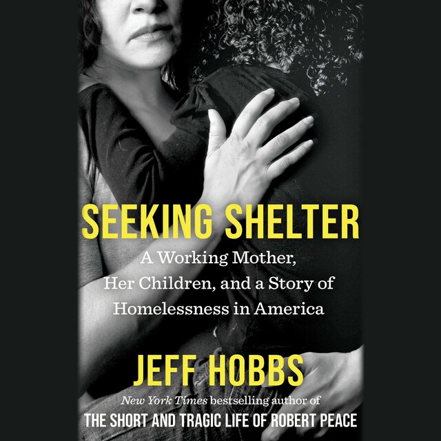 Book cover for Seeking Shelter