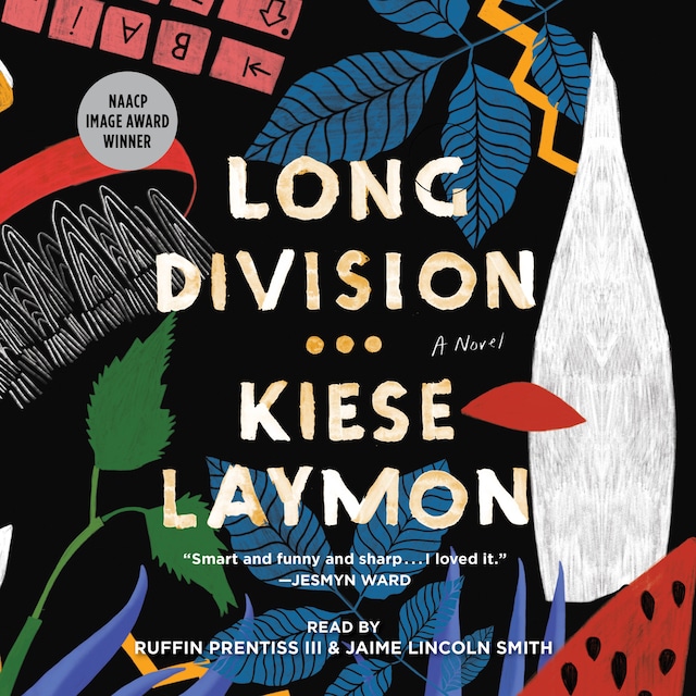 Book cover for Long Division