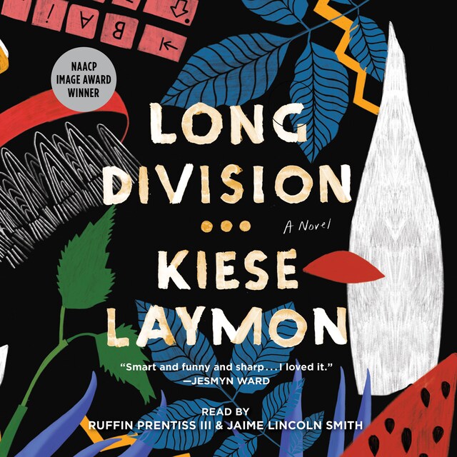 Long Division Book cover for Long Division