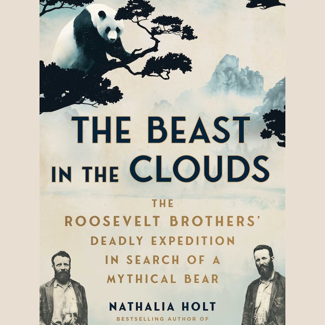 Book cover for The Beast in the Clouds