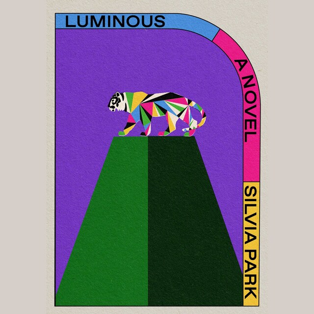 Book cover for Luminous