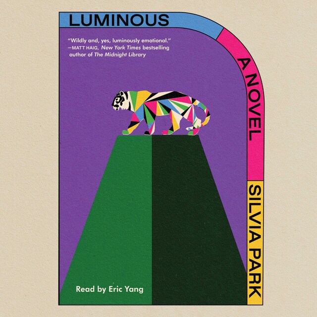 Book cover for Luminous