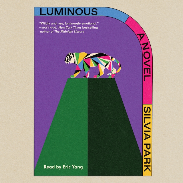 Book cover for Luminous