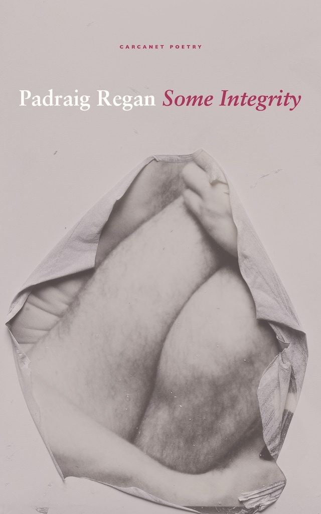 Book cover for Some Integrity