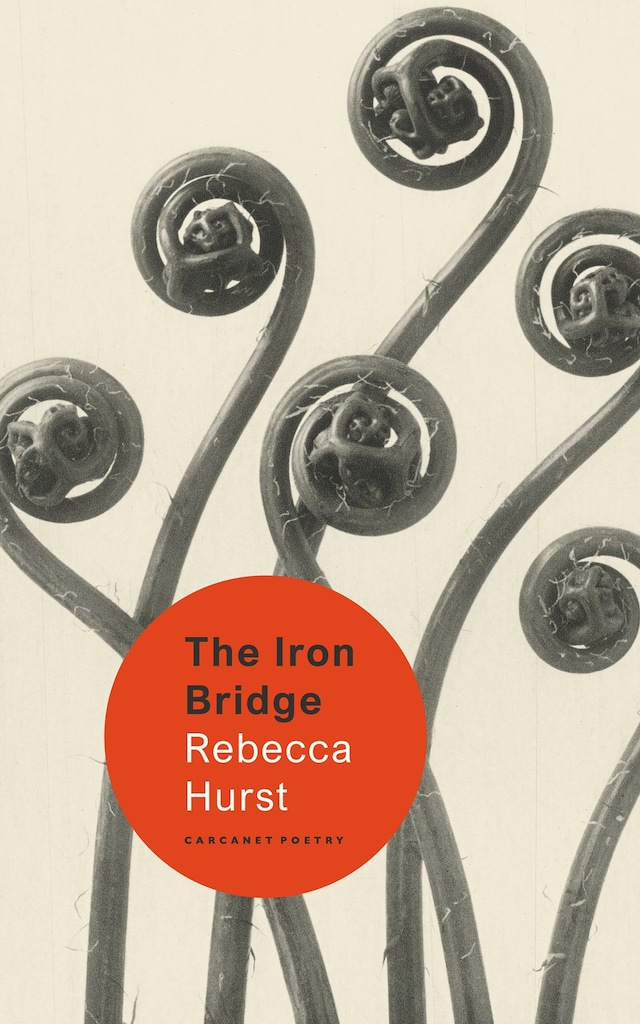Copertina del libro per The Iron Bridge