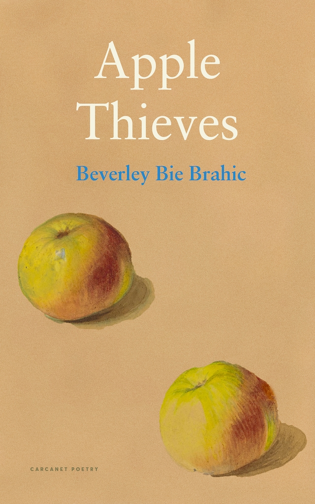 Book cover for Apple Thieves