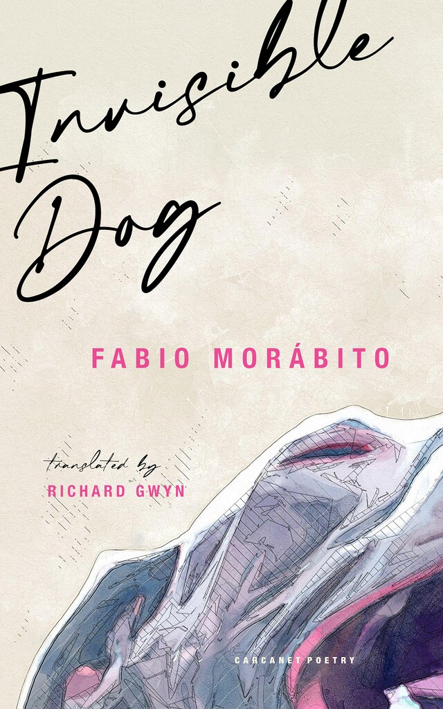 Copertina del libro per Invisible Dog