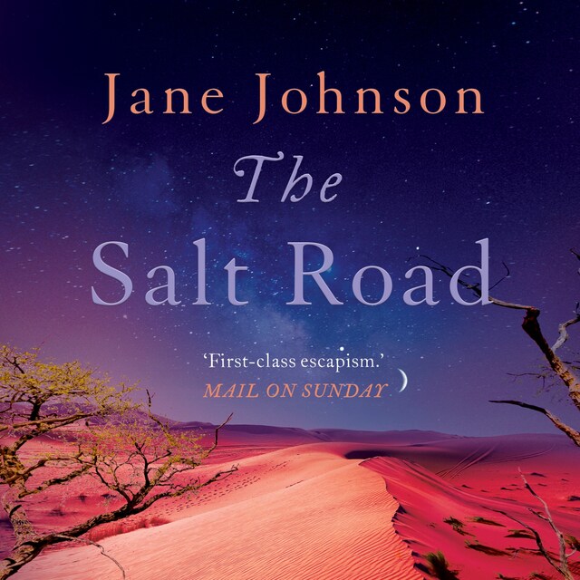 Book cover for The Salt Road