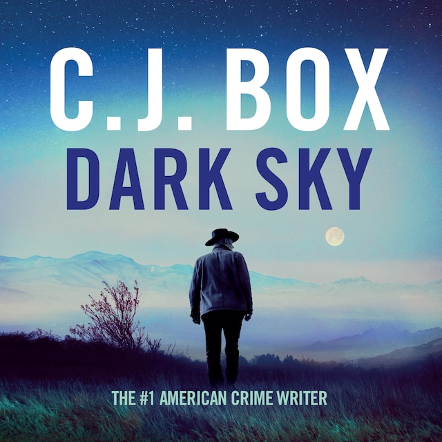 Book cover for Dark Sky