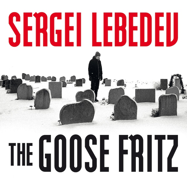 Book cover for The Goose Fritz