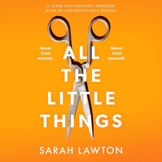 Book cover for All The Little Things