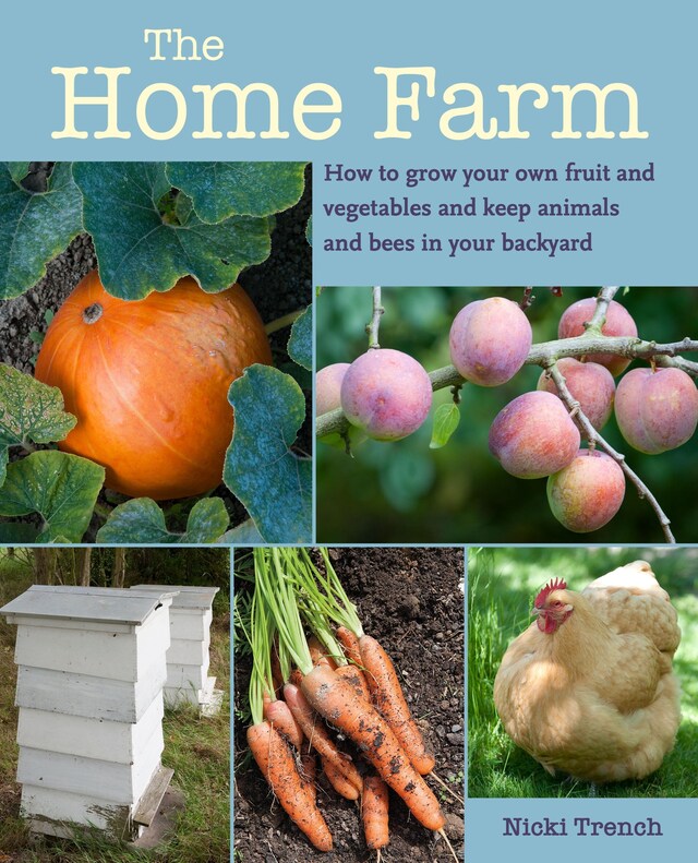 Book cover for The Home Farm
